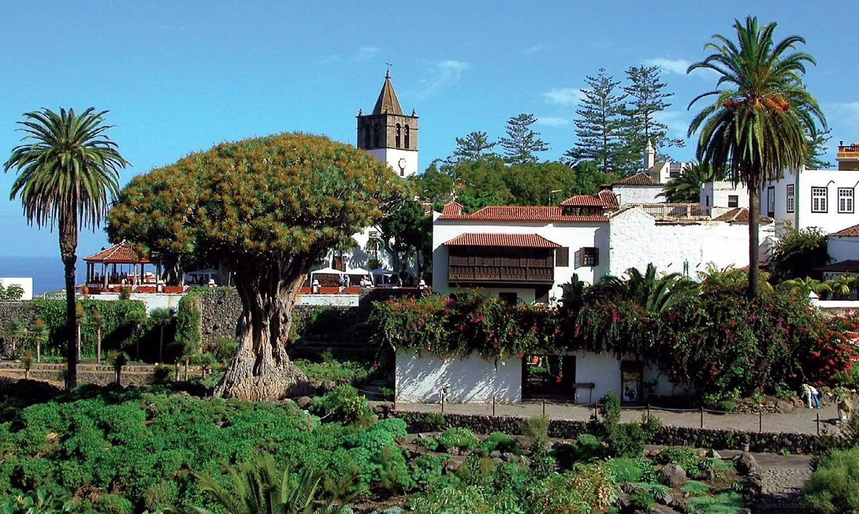 Сasa de vacaciones Finca Aurora Ecorural Icod De Los Vinos
