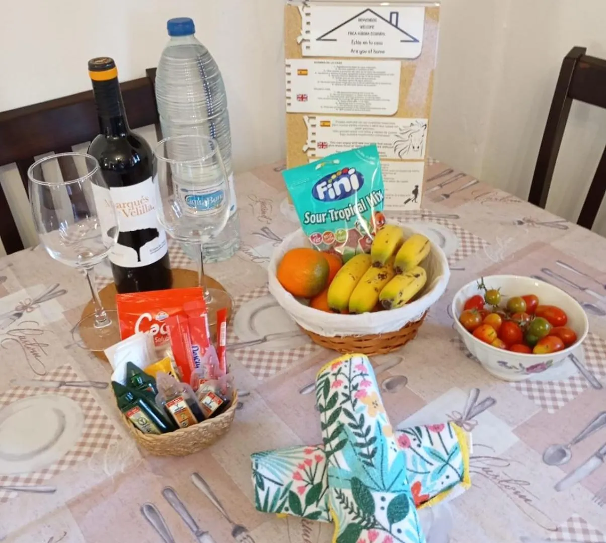 Finca Aurora Ecorural Icod De Los Vinos 0*,